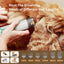 Machine de toilettage 7-en-1 chien & chat – Aspirateur, tondeuse & soins