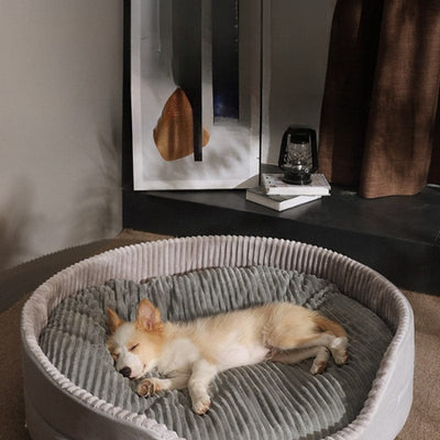 Lit ovale pour chien & chat – Coussin orthopédique toutes saisons