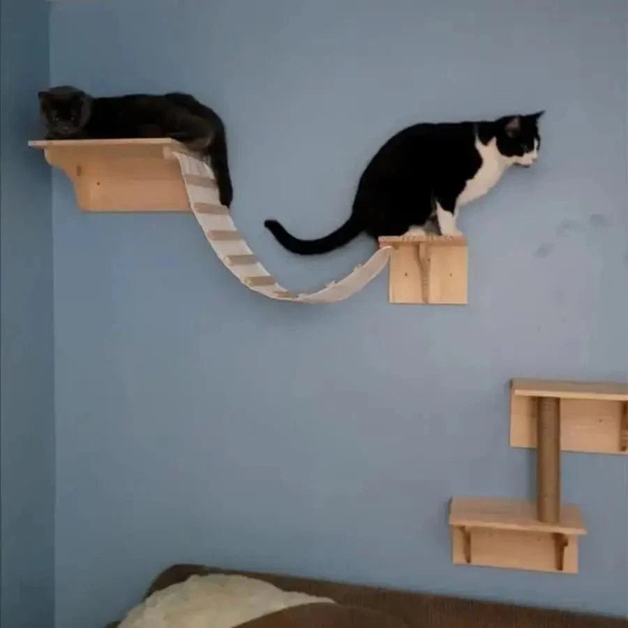 Étagères d'escalade murales pour chat – Hamac, griffoir, pont, escalier - One PETS - TOP