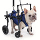 Fauteuil roulant pour chien – Mobilité, rééducation & confort optimal - One PETS - TOP