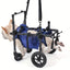 Fauteuil roulant pour chien – Mobilité, rééducation & confort optimal One PETS-TOP