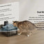 Fontaine eau automatique 2,5L inox – Distributeur sans fil - One PETS - TOP