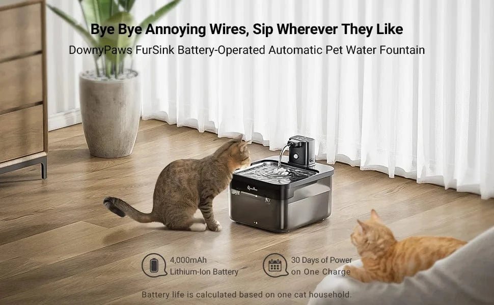 Fontaine eau automatique 2,5L inox – Distributeur sans fil - One PETS - TOP