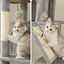Grand arbre à chat 180cm – Tour avec hamac, griffoir sisal, jouets - One PETS - TOP