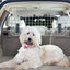 Grille De Séparation Pour Chien En Métal À Fixer Aux Appuis - Tête - One PETS - TOP