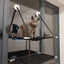 Hamac de fenêtre pour chat – Lit suspendu 2 étages avec ventouses - One PETS - TOP