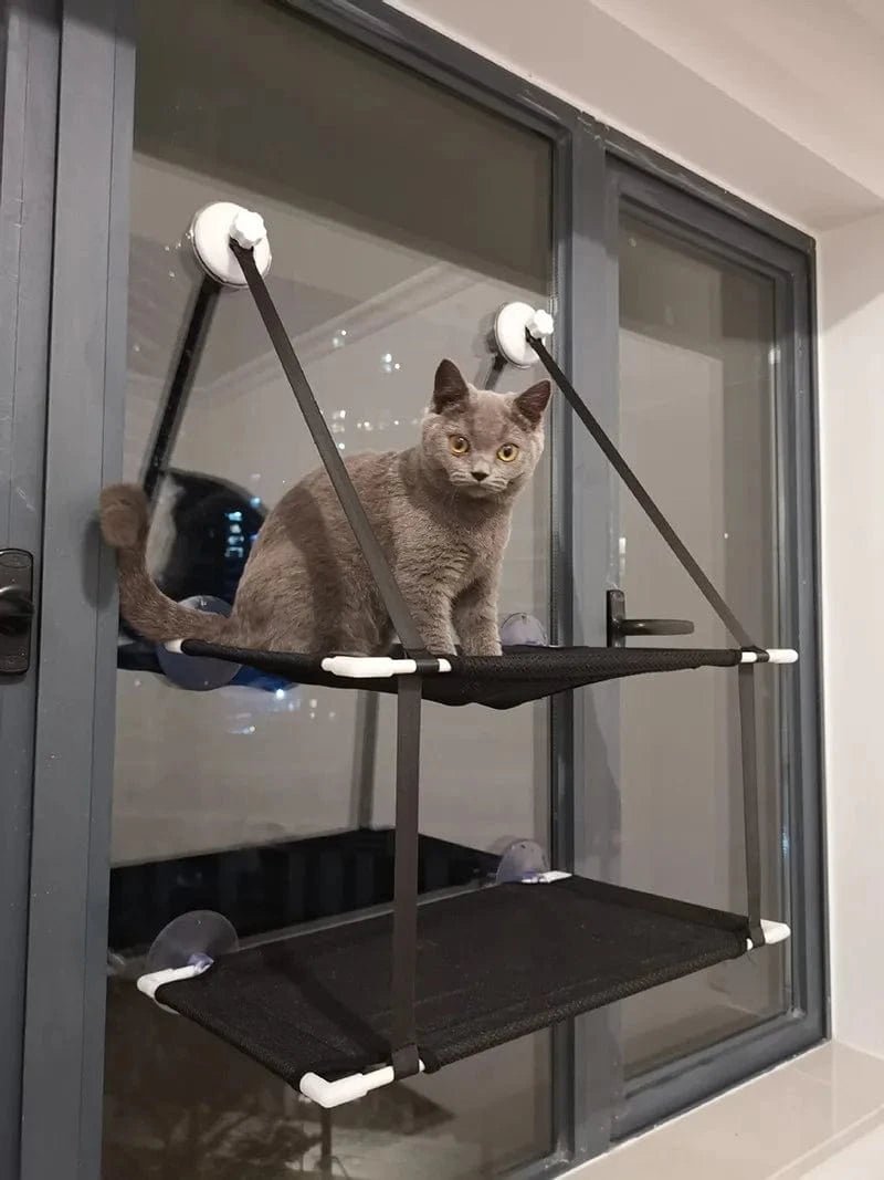 Hamac de fenêtre pour chat – Lit suspendu 2 étages avec ventouses - One PETS - TOP
