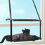 Hamac de fenêtre pour chat – Lit suspendu 2 étages avec ventouses - One PETS - TOP