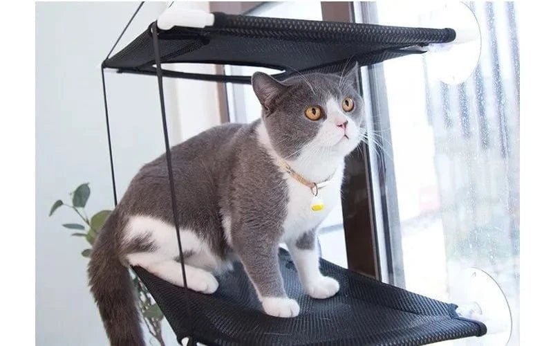 Hamac de fenêtre pour chat – Lit suspendu 2 étages avec ventouses - One PETS - TOP