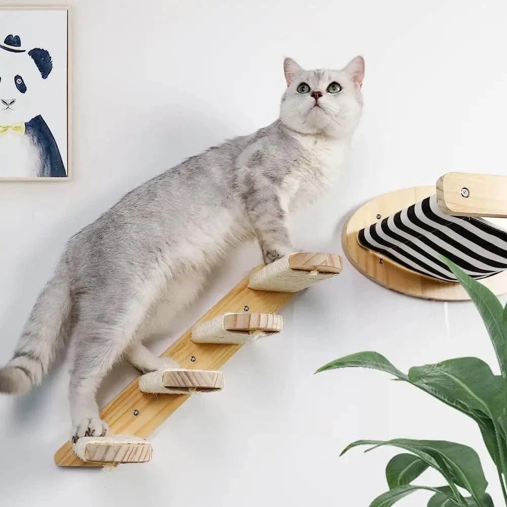 Hamac mural d'escalade pour chat, poteau à gratter pour meubles en bois, marches d'échelle, chats dormant et jouant - One PETS - TOP