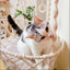 Hamac suspendu pour animaux – Balançoire chat en corde coton tissée - One PETS - TOP