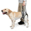 Harnais de levage réglable pour grands chiens – Support jambes arrière - One PETS - TOP