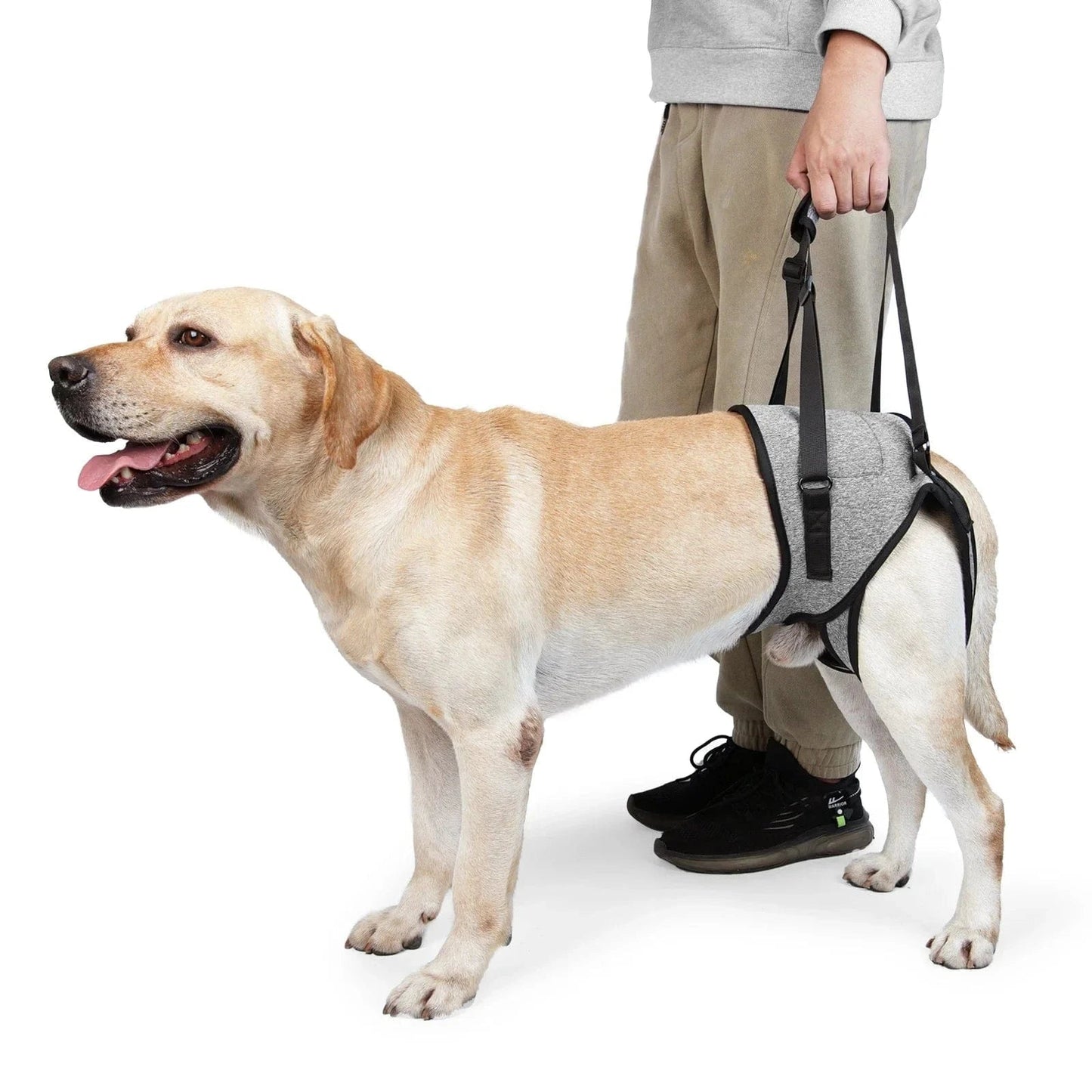 Harnais de levage réglable pour grands chiens – Support jambes arrière - One PETS - TOP
