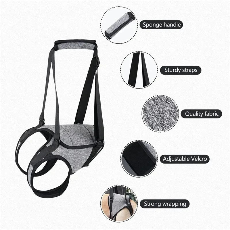 Harnais de levage réglable pour grands chiens – Support jambes arrière - One PETS - TOP