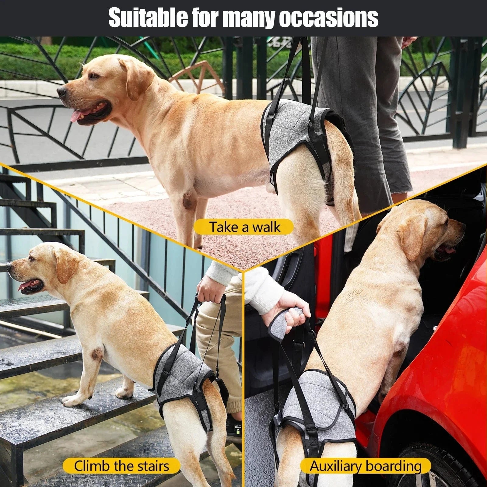 Harnais de levage réglable pour grands chiens – Support jambes arrière - One PETS - TOP