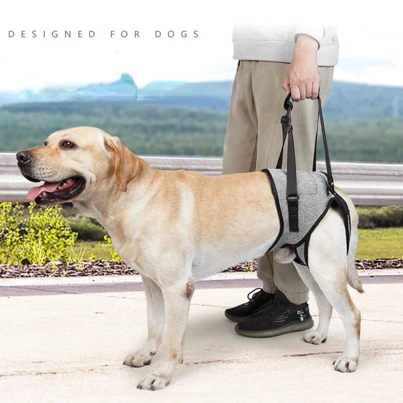 Harnais de levage réglable pour grands chiens – Support jambes arrière - One PETS - TOP
