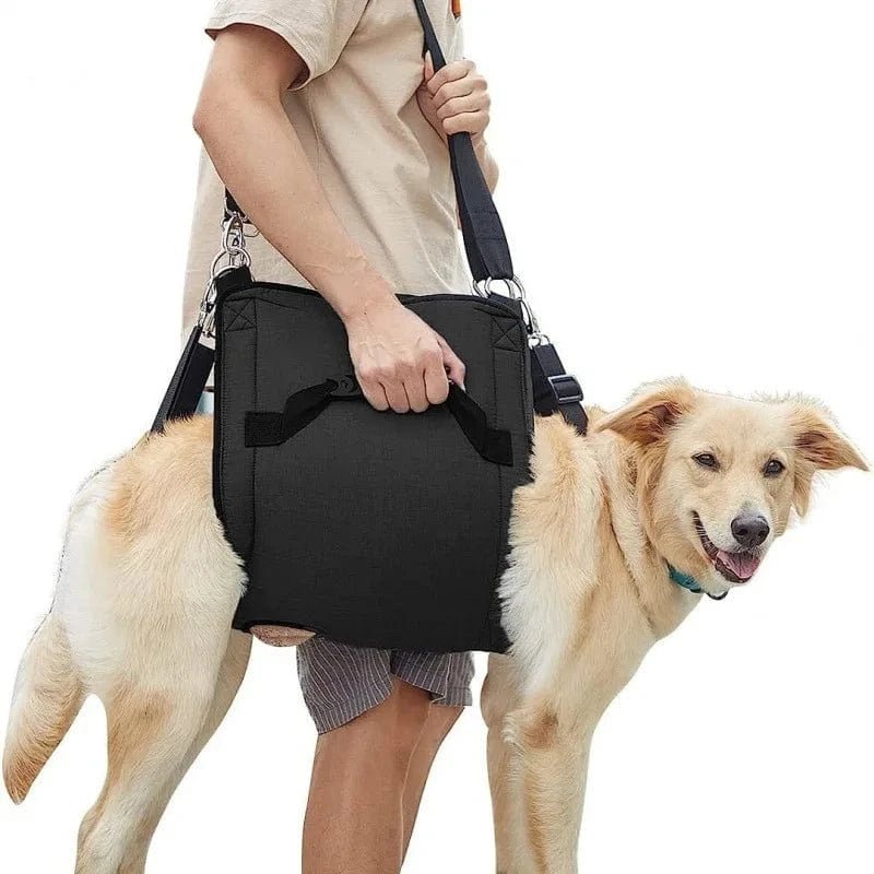 Harnais de soutien chien âgé – Aide marche & récupération - One PETS - TOP