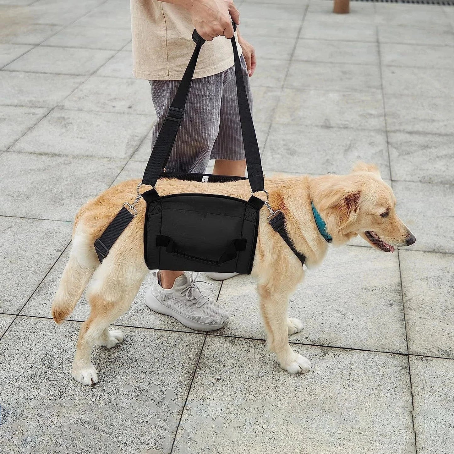 Harnais de soutien chien âgé – Aide marche & récupération - One PETS - TOP