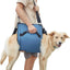 Harnais de soutien chien âgé – Aide marche & récupération - One PETS - TOP