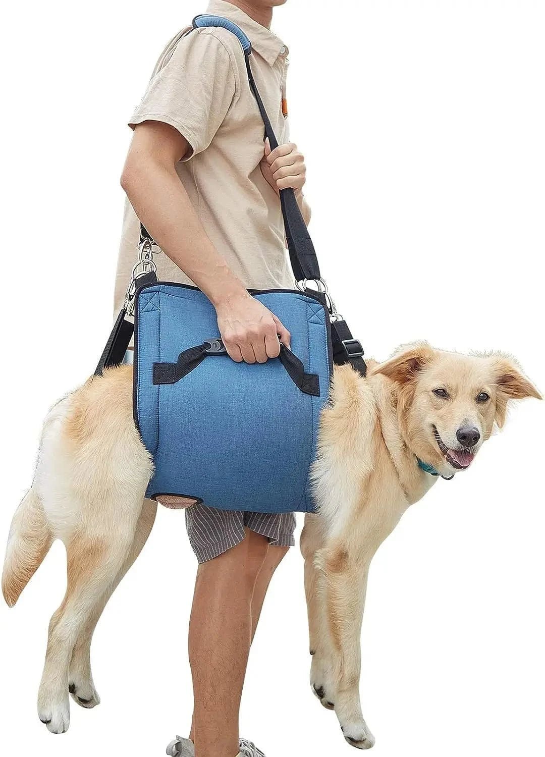 Harnais de soutien chien âgé – Aide marche & récupération - One PETS - TOP