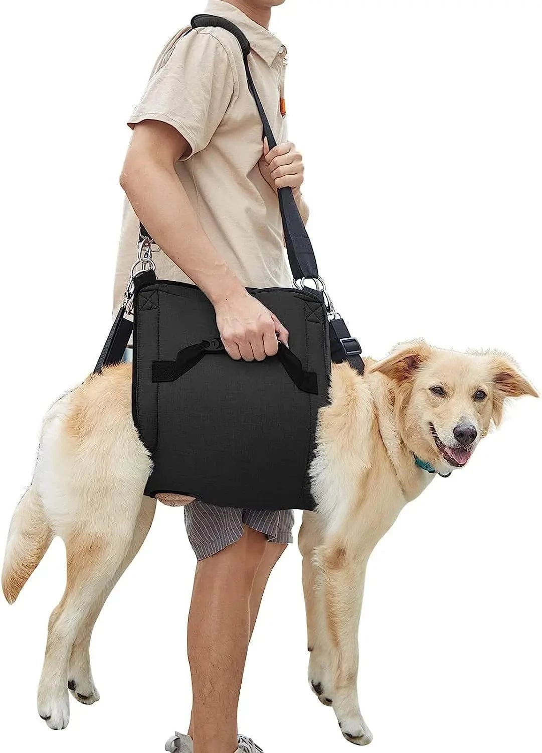 Harnais de soutien chien âgé – Aide marche & récupération - One PETS - TOP