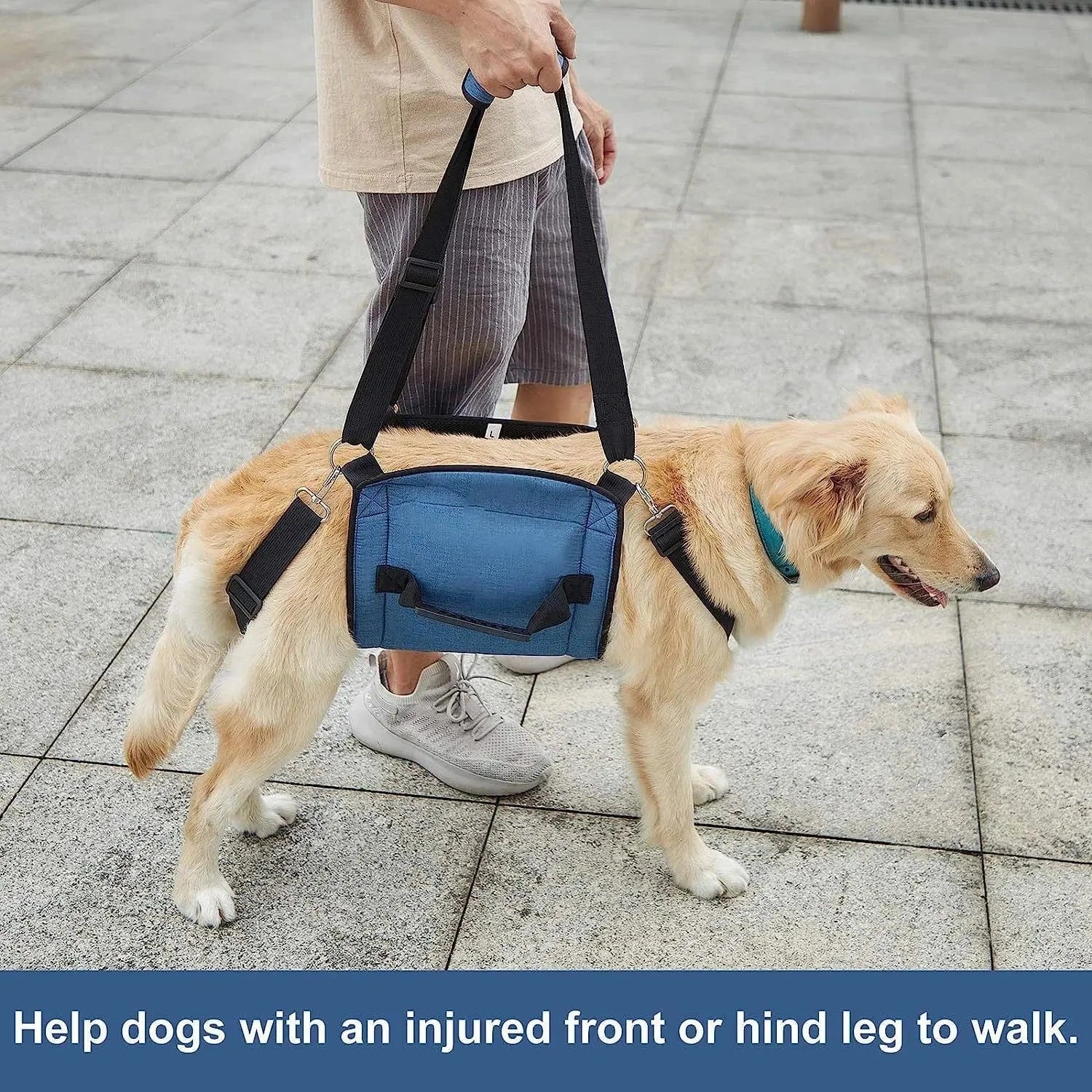 Harnais de soutien chien âgé – Aide marche & récupération One PETS-TOP