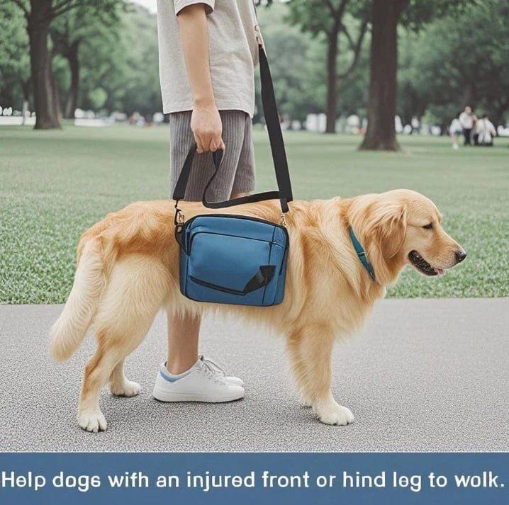 Harnais de soutien chien âgé – Aide marche & récupération One PETS-TOP