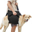 Harnais de soutien chien âgé – Aide marche & récupération One PETS-TOP