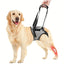 Harnais de soutien pattes arrière chien – Aide mobilité & rééducation - One PETS - TOP