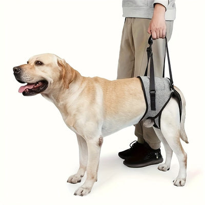 Harnais de soutien pattes arrière chien – Aide mobilité & rééducation One PETS-TOP