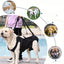 Harnais de soutien pour chien – Aide à la marche, rééducation & levage - One PETS - TOP
