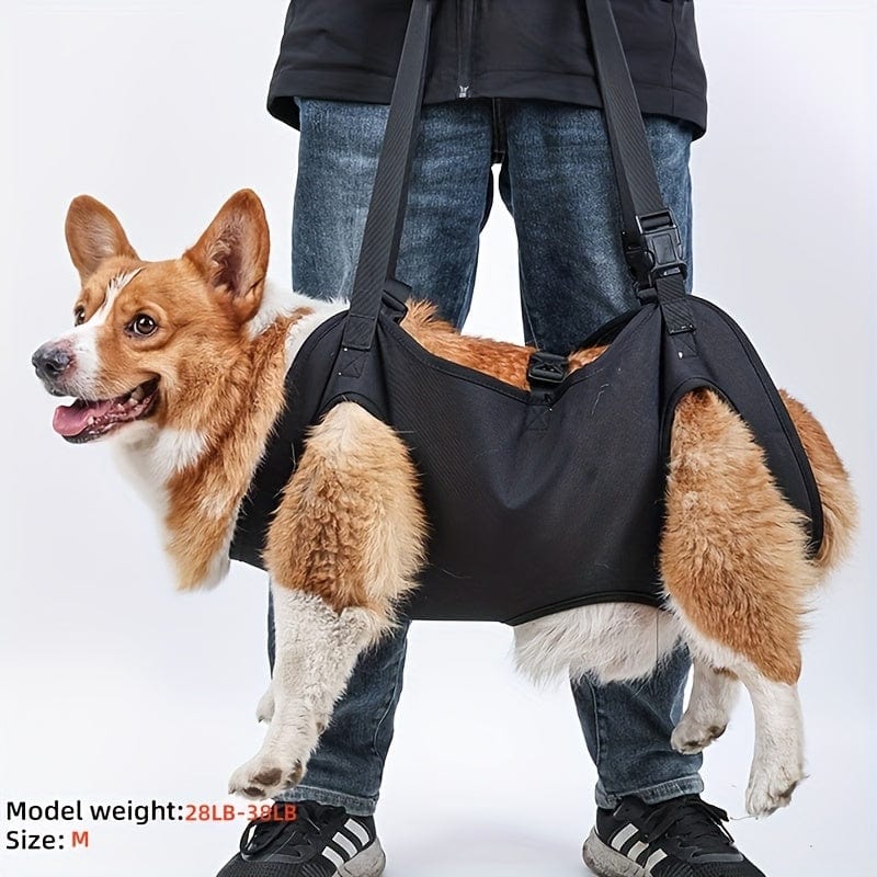 Harnais de soutien pour chien – Aide à la marche, rééducation & levage - One PETS - TOP
