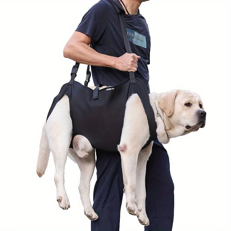Harnais de soutien pour chien – Aide à la marche, rééducation & levage - One PETS - TOP
