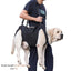 Harnais de soutien pour chien – Aide à la marche, rééducation & levage - One PETS - TOP