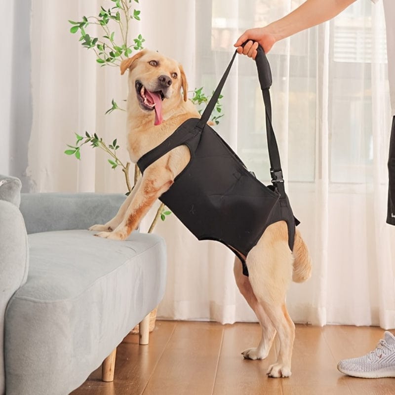 Harnais de soutien pour chien – Aide à la marche, rééducation & levage - One PETS - TOP