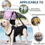 Harnais de soutien pour chien – Aide à la marche, rééducation & levage One PETS-TOP