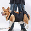 Harnais de soutien pour chien – Aide à la marche, rééducation & levage M One PETS-TOP