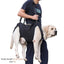 Harnais de soutien pour chien – Aide à la marche, rééducation & levage XL One PETS-TOP