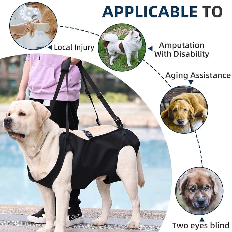 Harnais de soutien pour chien – Assistance mobilité & transport sécurisé One PETS-TOP