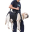 Harnais de soutien pour chien – Assistance mobilité & transport sécurisé One PETS-TOP