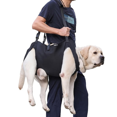 Harnais de soutien pour chien – Assistance mobilité & transport sécurisé One PETS-TOP