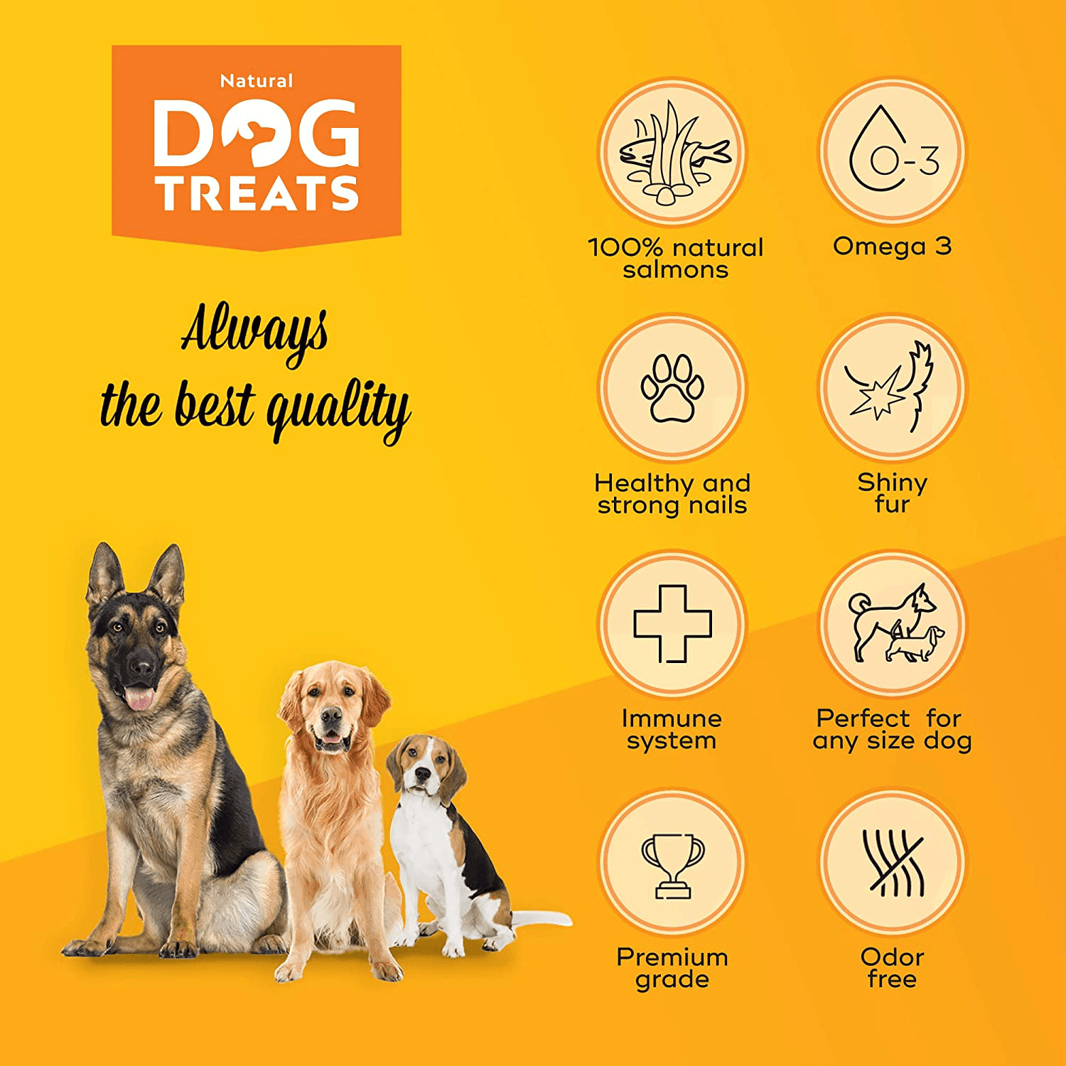 Huile De Saumon Pour Chien 100% Naturelle Norvégien, Oméga 3, 6 Et 9 Supplément Huile De Poisson, 500Ml 500 ml (16.9 oz) One PETS-TOP