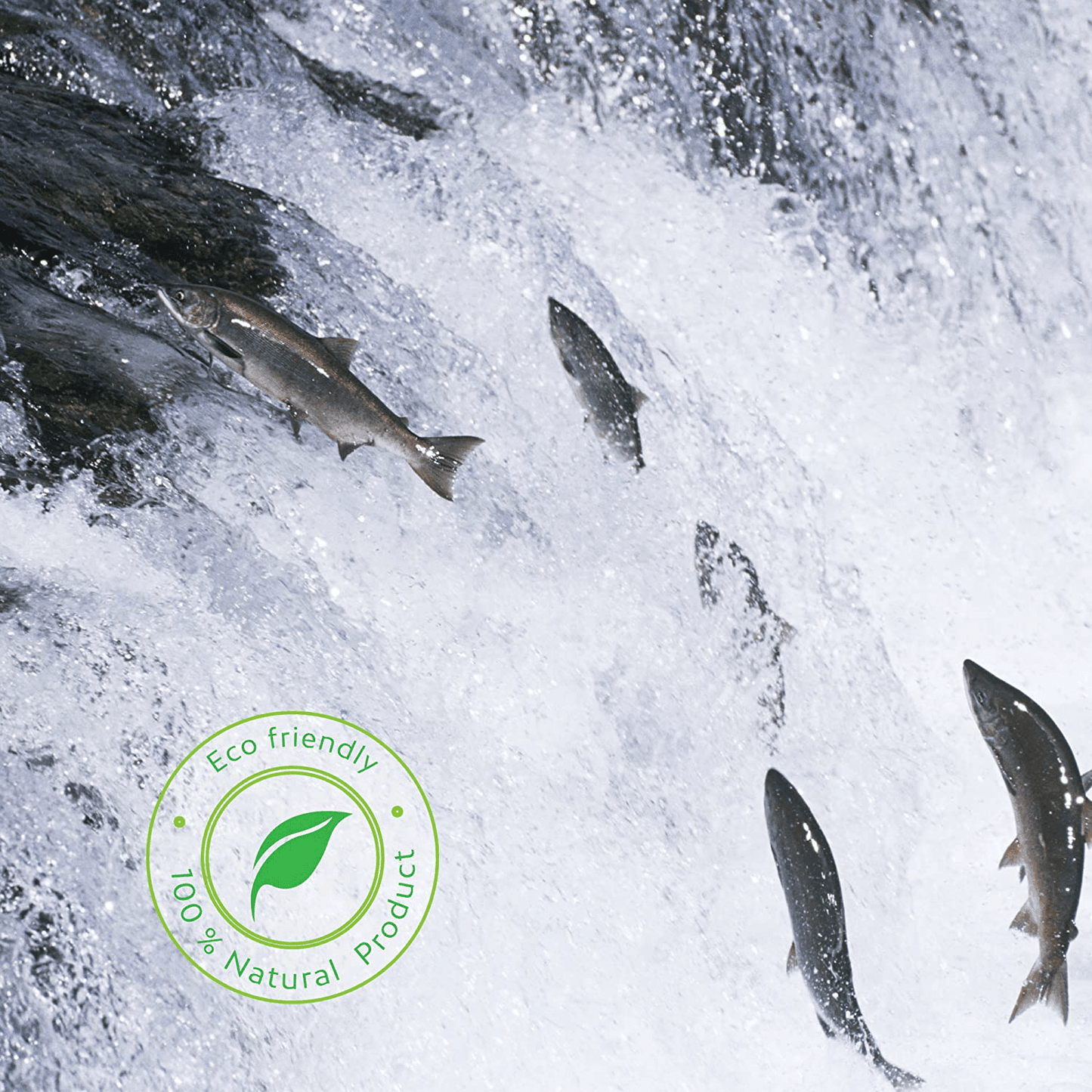 Huile De Saumon Pour Chien 100% Naturelle Norvégien, Oméga 3, 6 Et 9 Supplément Huile De Poisson, 500Ml 500 ml (16.9 oz) One PETS-TOP