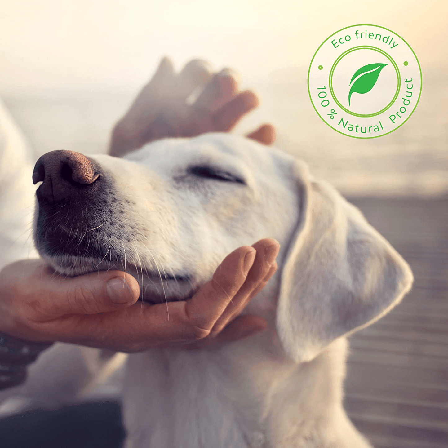 Huile De Saumon Pour Chien 100% Naturelle Norvégien, Oméga 3, 6 Et 9 Supplément Huile De Poisson, 500Ml 500 ml (16.9 oz) One PETS-TOP