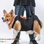 Harnais de soutien pour chien – Aide à la marche, rééducation & levage – One PETS-TOP – vue 10