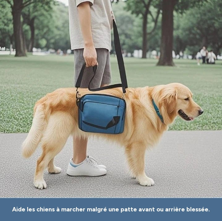 Harnais de soutien chien âgé – Aide marche & récupération - One PETS-TOP – vue 10
