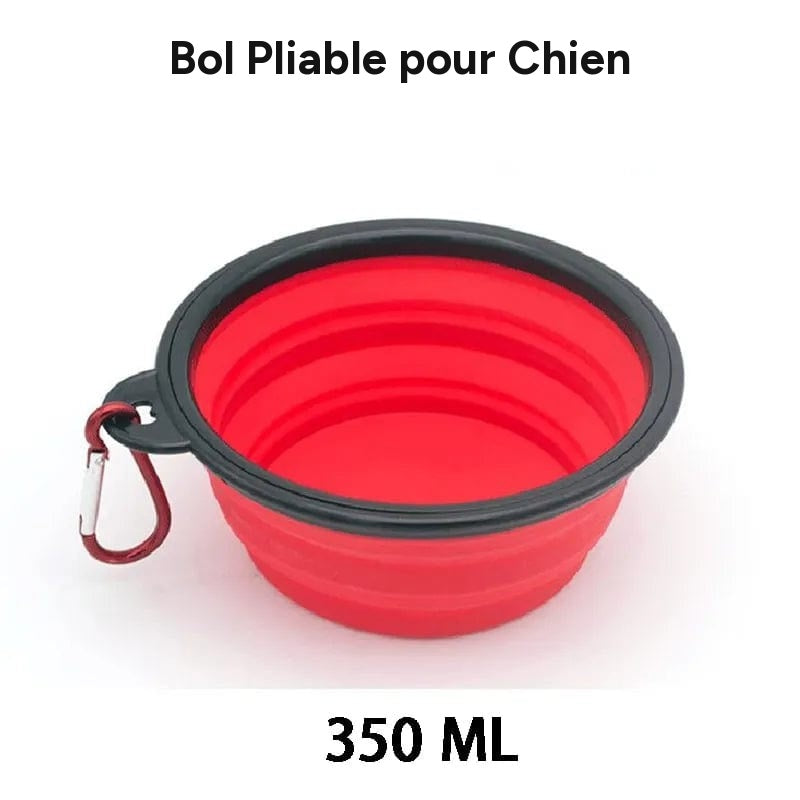 Bol slow food pour chiens et chats