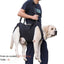 Harnais de soutien pour chien – Aide à la marche, rééducation & levage – One PETS-TOP – vue 12