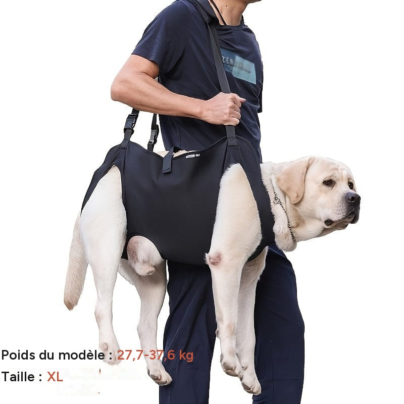 Harnais de soutien pour chien – Aide à la marche, rééducation & levage – One PETS-TOP – vue 12