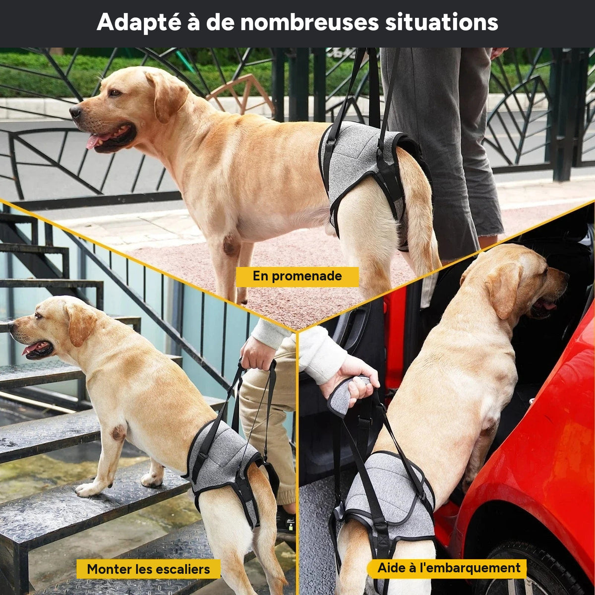 Harnais de levage réglable pour grands chiens – Support jambes arrière - One PETS-TOP – vue 12